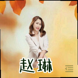 赵琳
